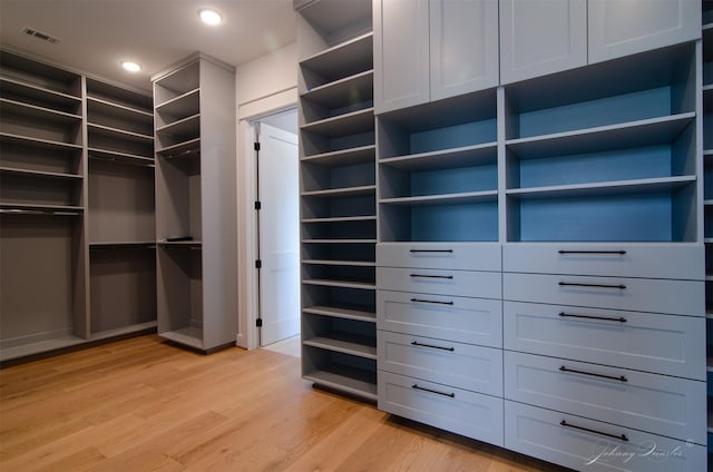 4410 Jozwiak Rd, Chappell Hill, TX 77426 - walk in closet with light wood-style flooring