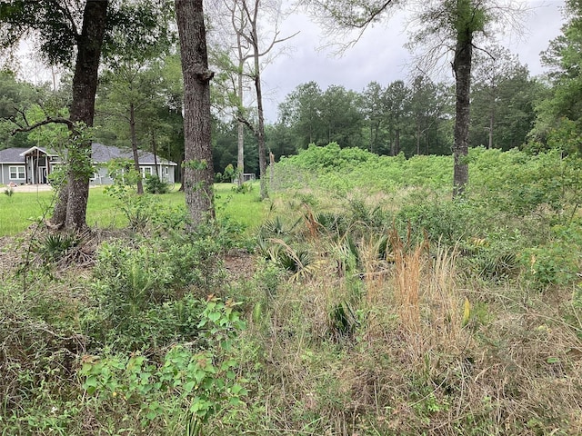00 Birch Pl, New Caney, TX 77357 - photo 12