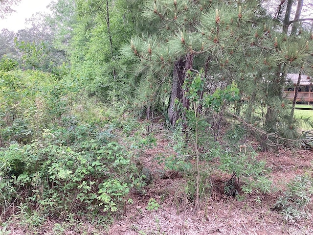 00 Birch Pl, New Caney, TX 77357 - photo 13