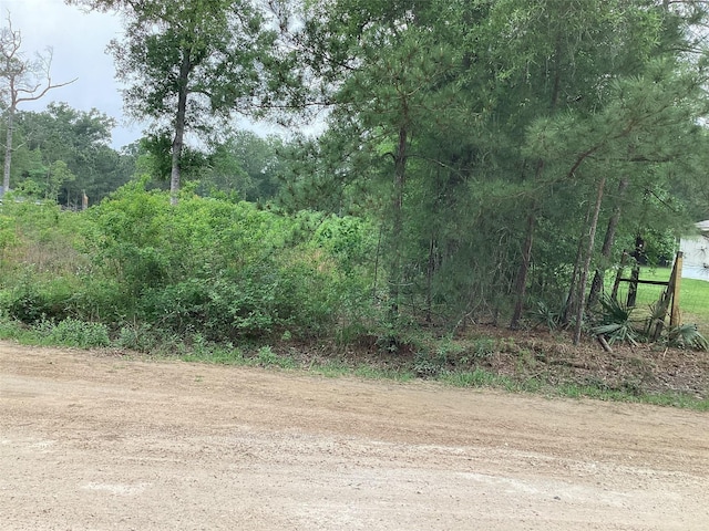 00 Birch Pl, New Caney, TX 77357 - photo 14