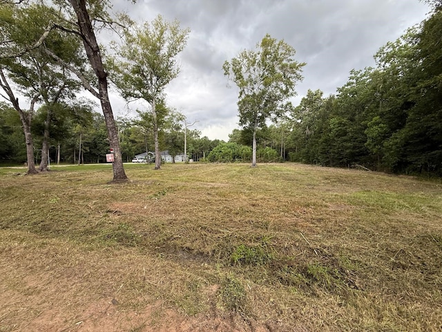 00 Birch Pl, New Caney, TX 77357 - photo 1