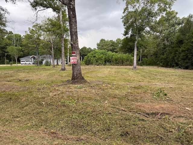 00 Birch Pl, New Caney, TX 77357 - photo 2