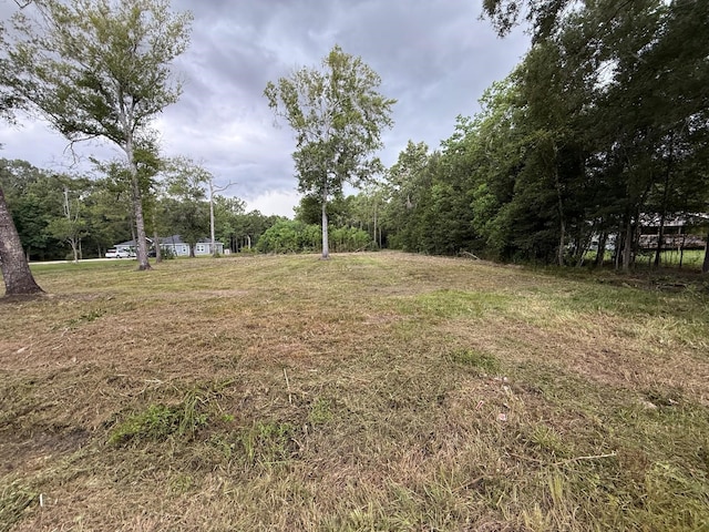 00 Birch Pl, New Caney, TX 77357 - photo 3