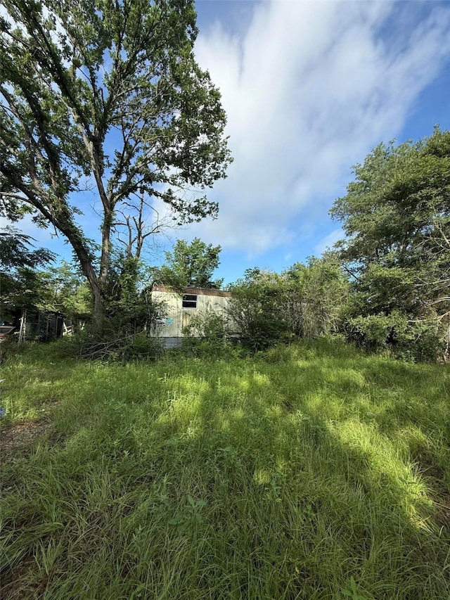 3818 N Texas Ave, Bryan, TX 77803 - photo 13