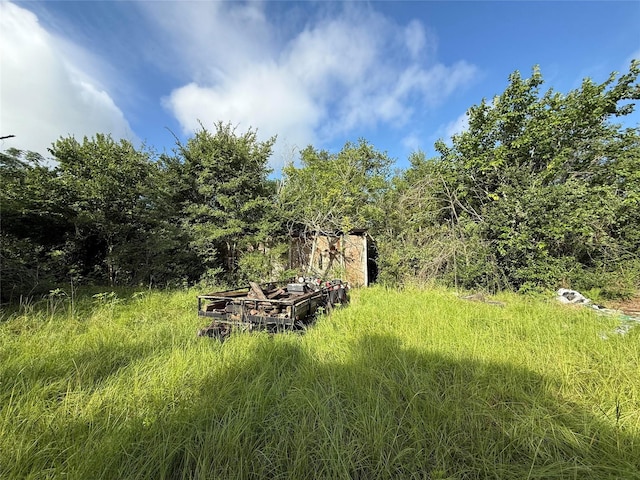 3818 N Texas Ave, Bryan, TX 77803 - photo 5
