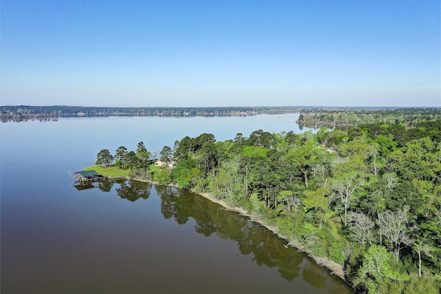 356 Peach Island Rd, Trinity, TX 75862 - photo 26
