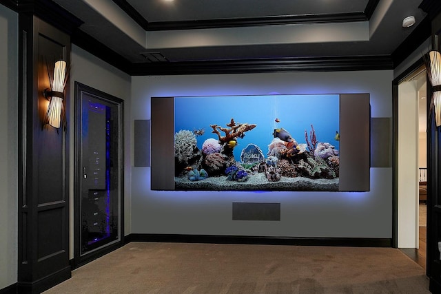227 Starlight Pl, The Woodlands, TX 77380 - carpeted home theater with crown molding and a tray ceiling