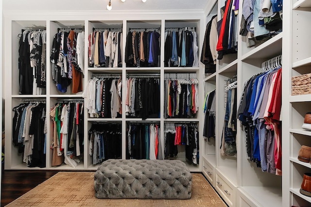 227 Starlight Pl, The Woodlands, TX 77380 - spacious closet featuring wood finished floors