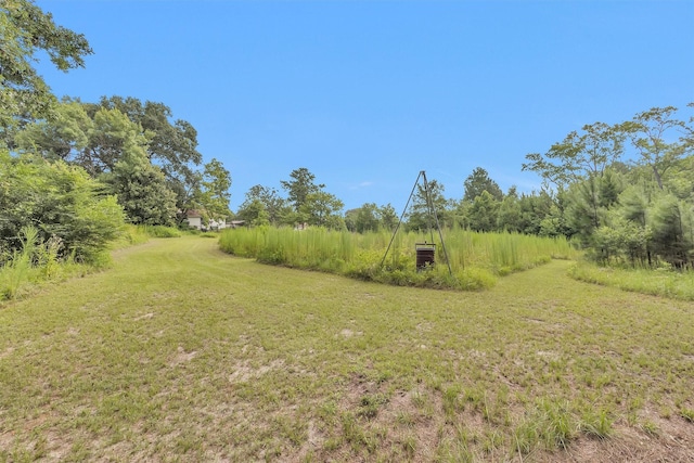 230 Paaske Rd, Trinity, TX 75862 - photo 21