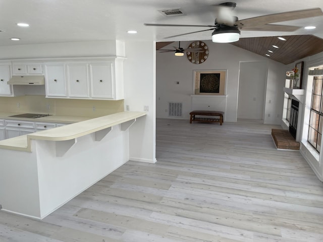 3419 Willowrun Dr, Montgomery, TX 77356 - kitchen featuring under cabinet range hood, ceiling fan, light countertops, white cabinetry, and vaulted ceiling
