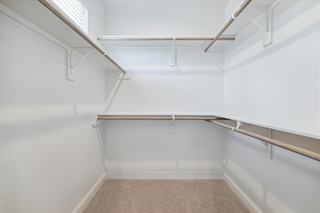 1804 Elysian St, Houston, TX 77026 - walk in closet with carpet floors