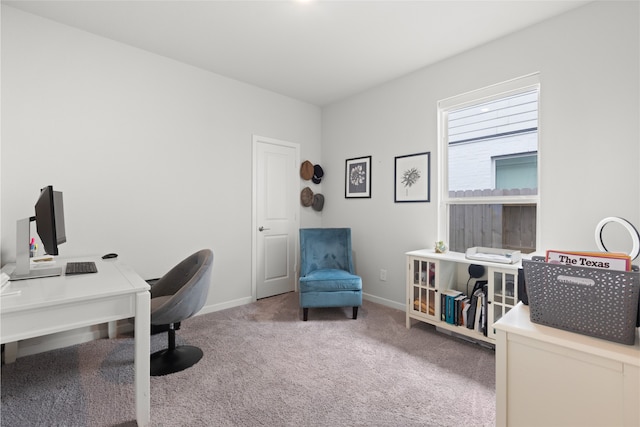8814 Riverton Ridge Rd, Cypress, TX 77433 - home office with carpet and baseboards