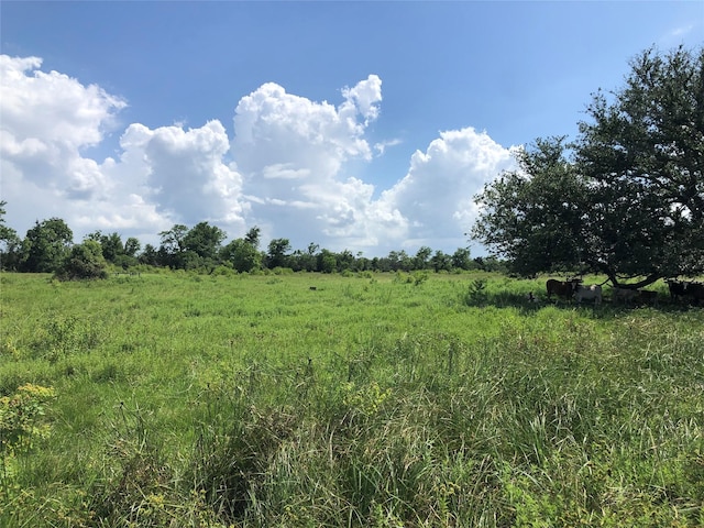 TBD County Road 182, Raywood, TX 77582