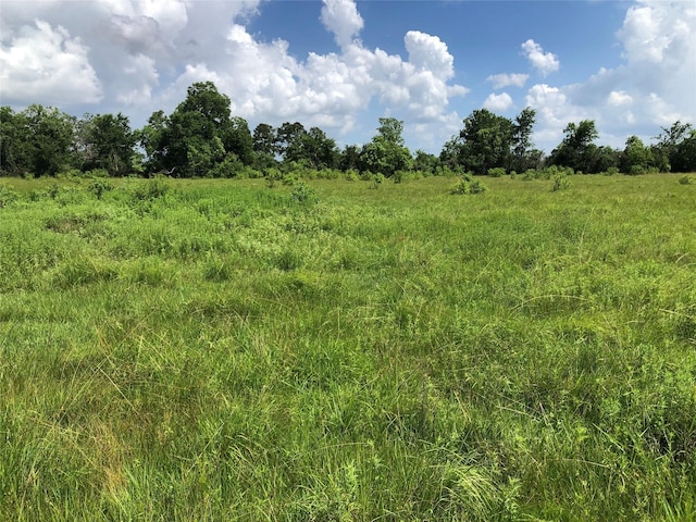 TBD County Road 182, Raywood, TX 77582