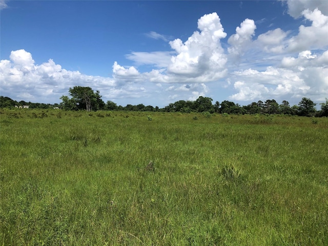 TBD County Road 182, Raywood, TX 77582