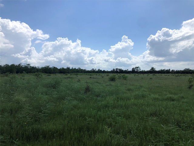 TBD County Road 182, Raywood, TX 77582