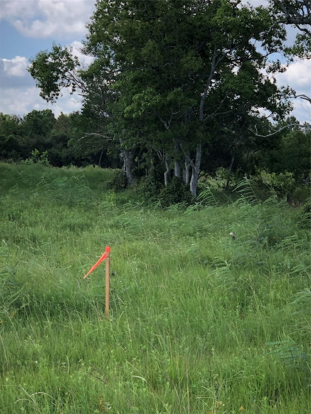 TBD County Road 182, Raywood, TX 77582