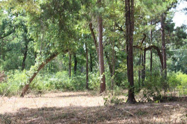 TRACT160 Private Road 1311, Centerville, TX 75833 - photo 21