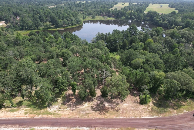 TRACT160 Private Road 1311, Centerville, TX 75833 - photo 19