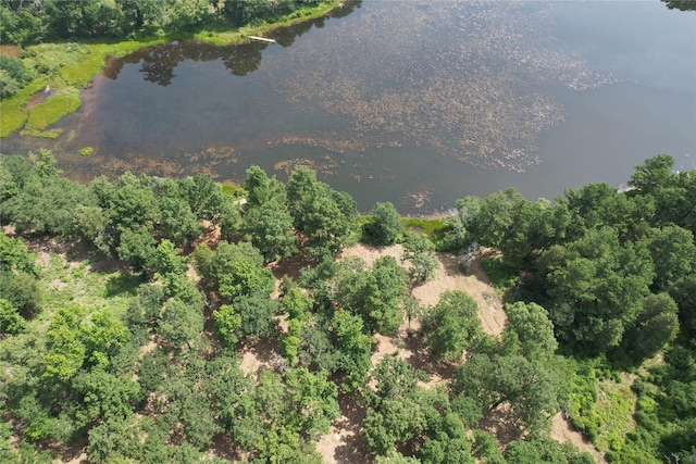 TRACT160 Private Road 1311, Centerville, TX 75833 - photo 22
