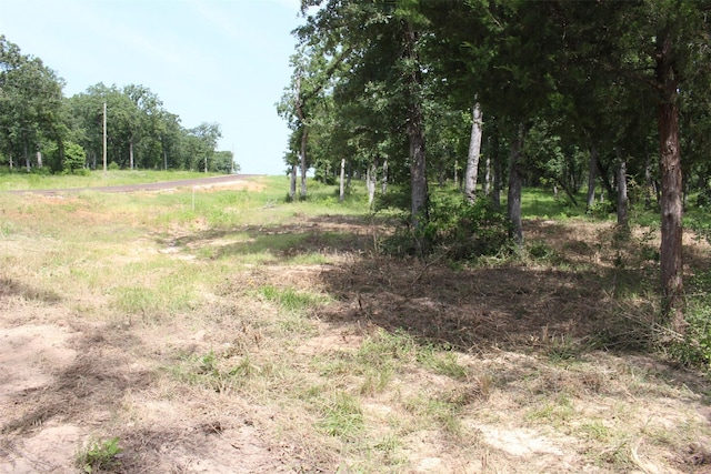TRACT160 Private Road 1311, Centerville, TX 75833 - photo 14