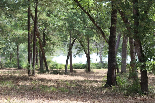TRACT160 Private Road 1311, Centerville, TX 75833 - photo 15