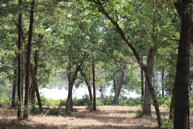 TRACT160 Private Road 1311, Centerville, TX 75833 - photo 16