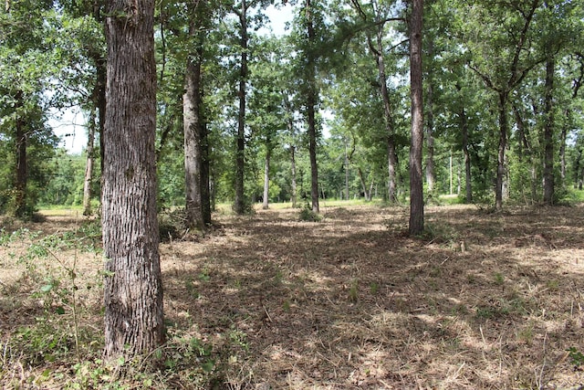 TRACT160 Private Road 1311, Centerville, TX 75833 - photo 20