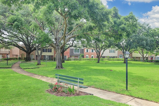 2065 Winrock Blvd Unit 55, Houston, TX 77057 - view of property's community with a lawn