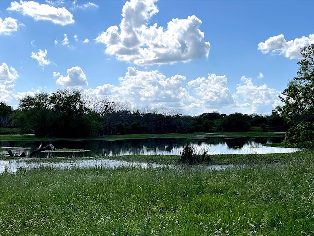 00 Clipson Rd, Eagle Lake, TX 77434