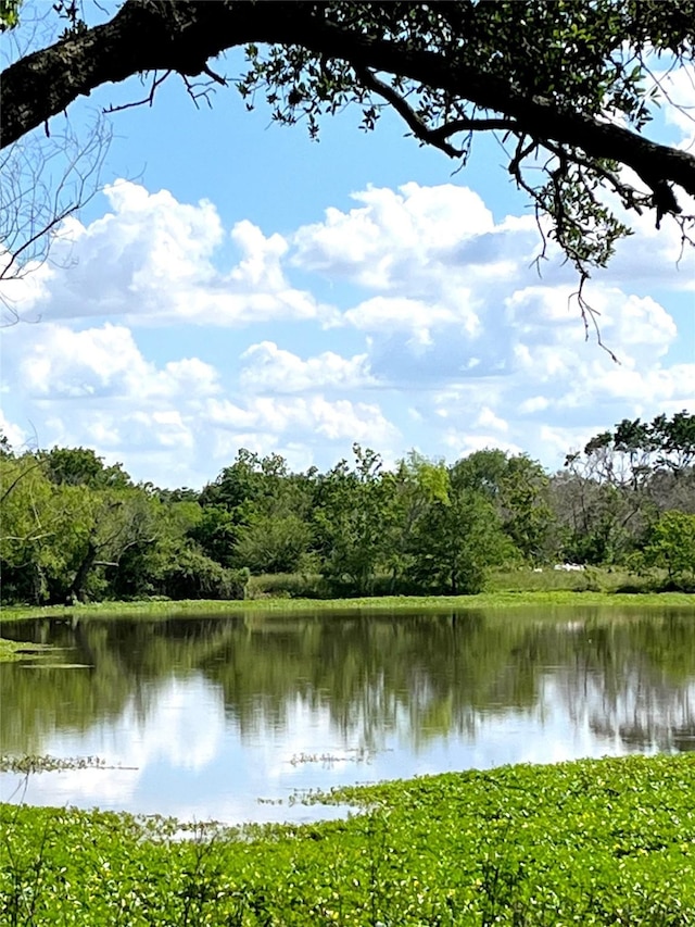 00 Clipson Rd, Eagle Lake, TX 77434