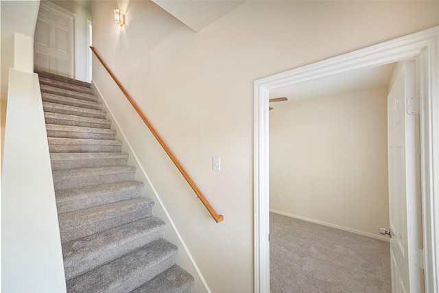19326 Camellia Knoll Trl, Houston, TX 77084 - photo 20