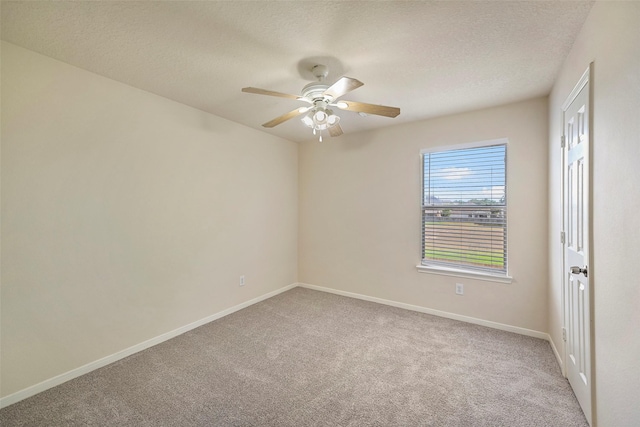 19326 Camellia Knoll Trl, Houston, TX 77084 - photo 21