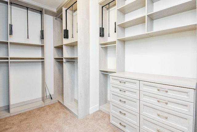5450 Pudman River Ln, Sugar Land, TX 77479 - spacious closet featuring carpet flooring