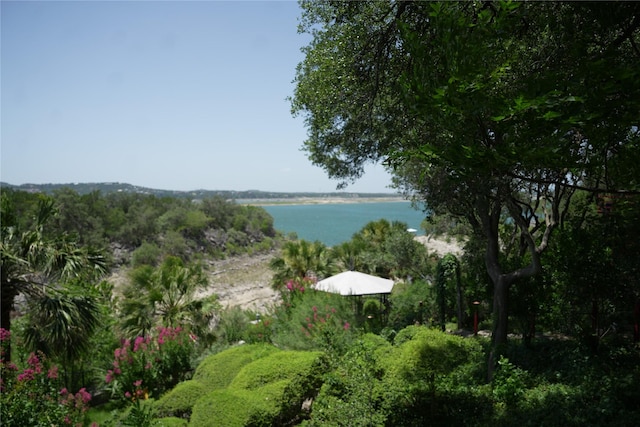 7044 Comanche Trl, Austin, TX 78732 - photo 40