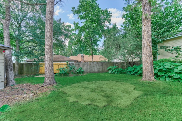 6506 Larkmount Dr, Spring, TX 77389 - photo 29