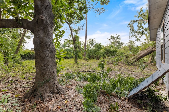 206 Owens St, Houston, TX 77029 - photo 4