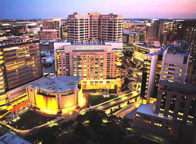 2255 Braeswood Park Dr Unit 145, Houston, TX 77030 - view of city