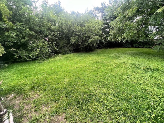 3511 Bain St, Houston, TX 77026 - view of green lawn