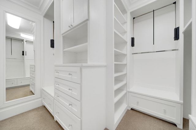1302 Westview Garden Ct, Houston, TX 77055 - view of walk in closet