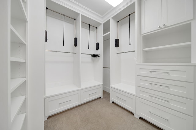 1302 Westview Garden Ct, Houston, TX 77055 - spacious closet with light colored carpet