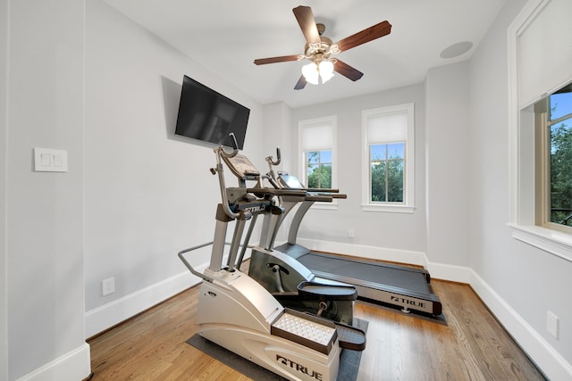 1302 Westview Garden Ct, Houston, TX 77055 - workout room featuring a ceiling fan and wood finished floors