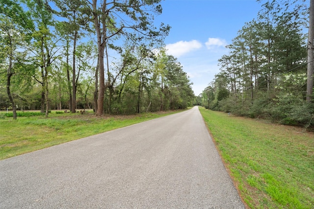 10048 Pine Springs Dr, Conroe, TX 77304 - photo 5