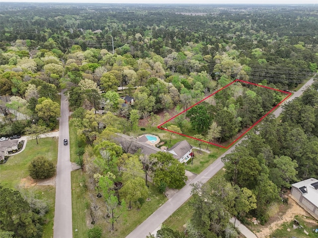 10048 Pine Springs Dr, Conroe, TX 77304 - photo 6
