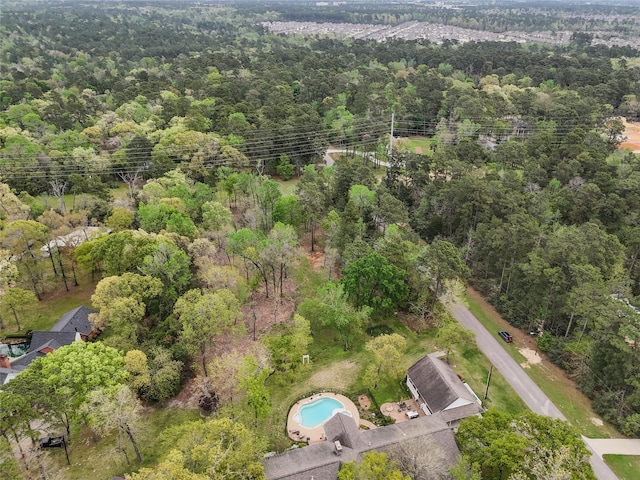 10048 Pine Springs Dr, Conroe, TX 77304 - photo 8