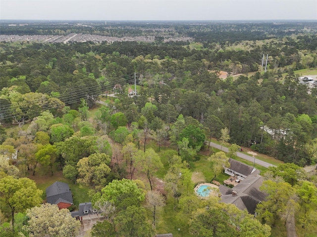 10048 Pine Springs Dr, Conroe, TX 77304 - photo 9