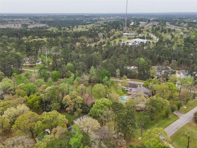 10048 Pine Springs Dr, Conroe, TX 77304 - photo 10