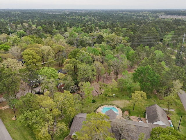 10048 Pine Springs Dr, Conroe, TX 77304 - photo 13