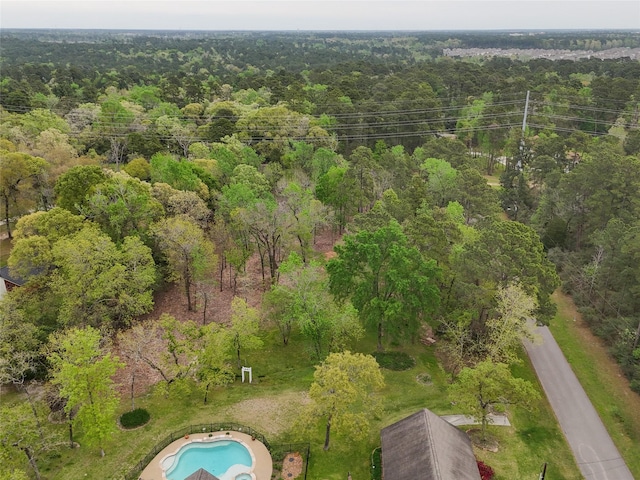 10048 Pine Springs Dr, Conroe, TX 77304 - photo 14
