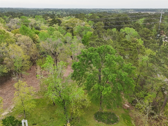 10048 Pine Springs Dr, Conroe, TX 77304 - photo 15
